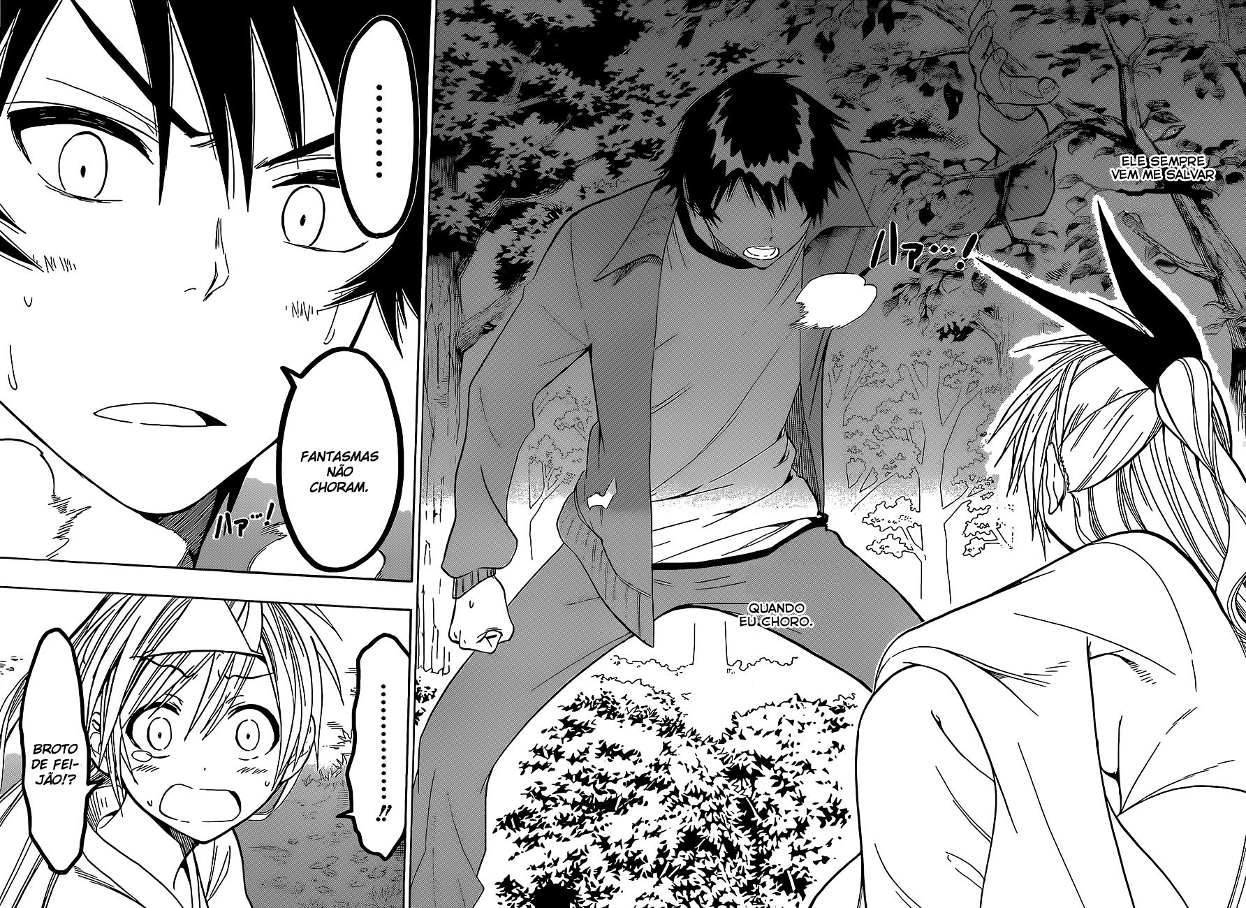 Nisekoi Capítulo 25 Página 12
