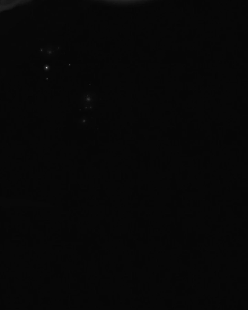 Noites de Caos Capítulo 79 Página 51