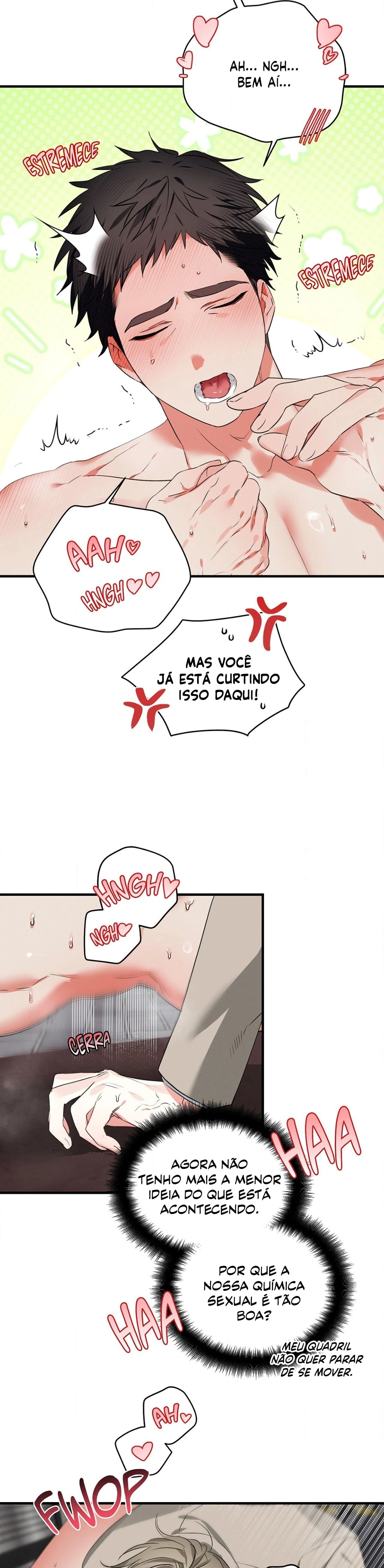 O Herói das tres pernas Capítulo 27 Página 4