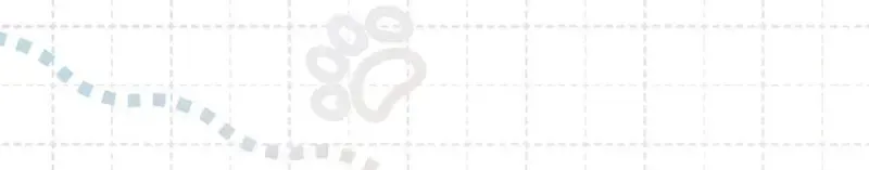 O Privilégio de uma Transmigrante Capítulo 57 Página 29