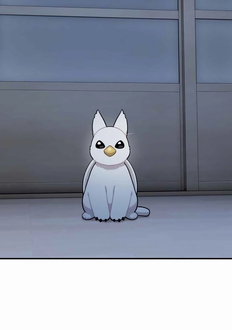 Olá, Griffin, o pássaro Fofinho! Capítulo 30 Página 110