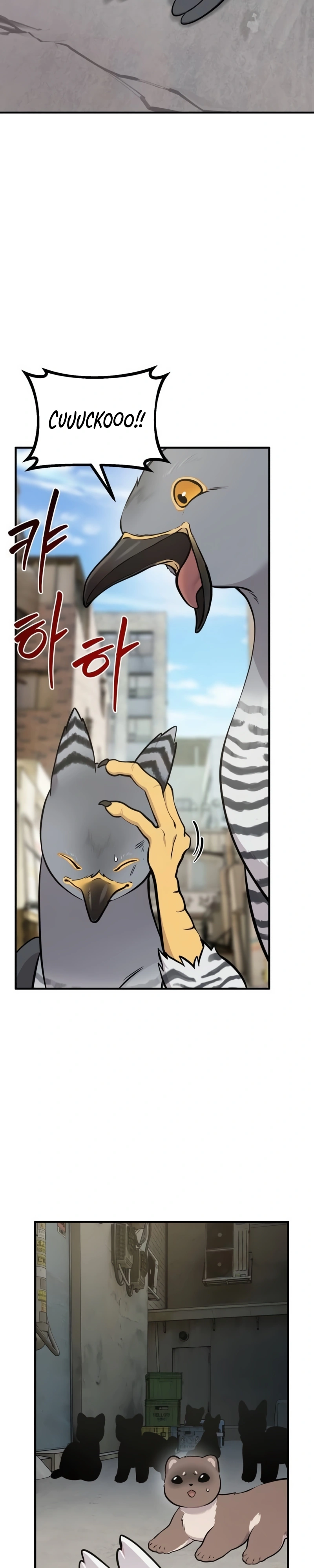 Olá, Griffin, o pássaro Fofinho! Capítulo 39 Página 12