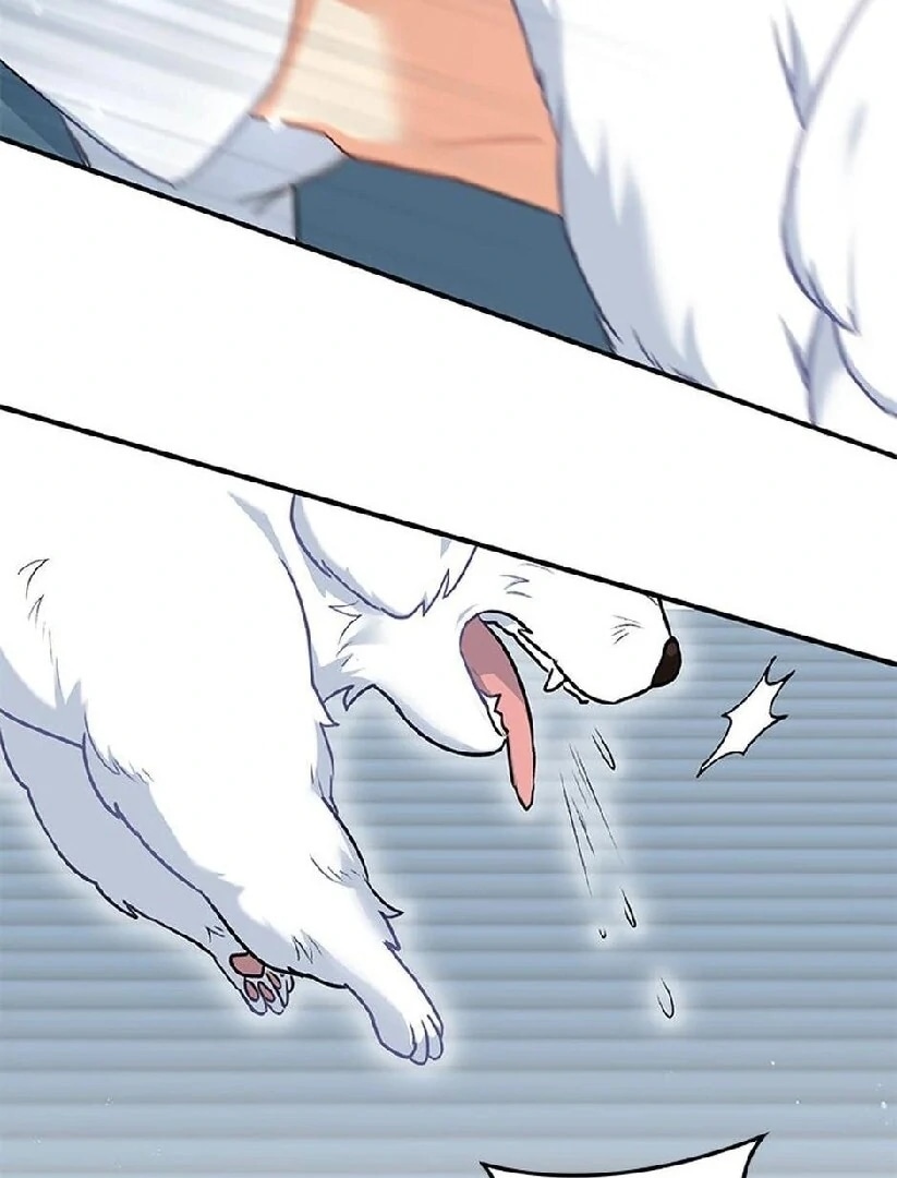Olá Sr. Veterinário! Capítulo 0 Página 121