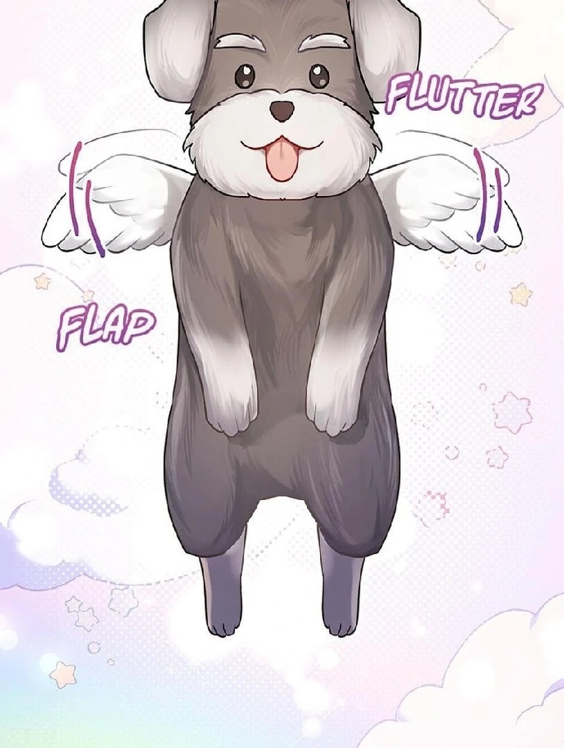 Olá Sr. Veterinário! Capítulo 0 Página 26