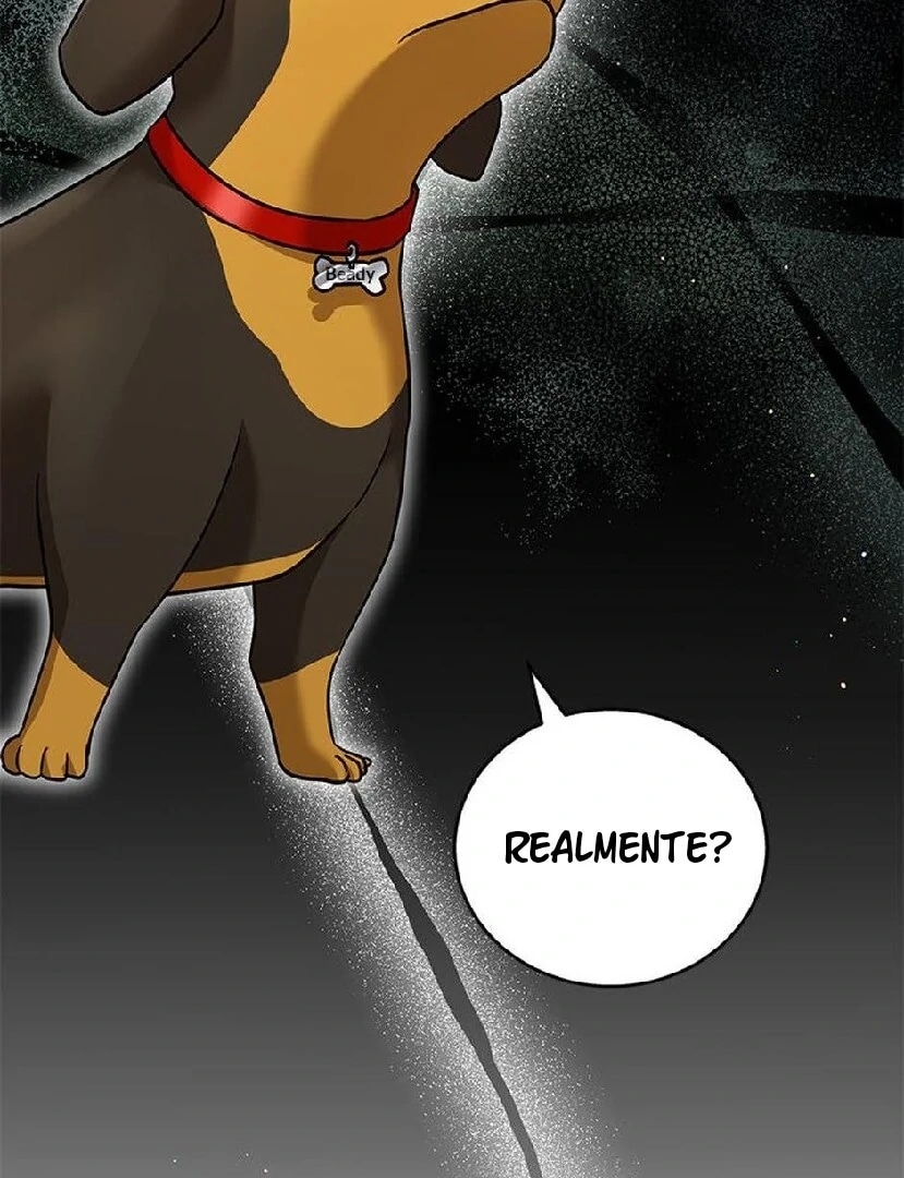 Olá Sr. Veterinário! Capítulo 0 Página 7