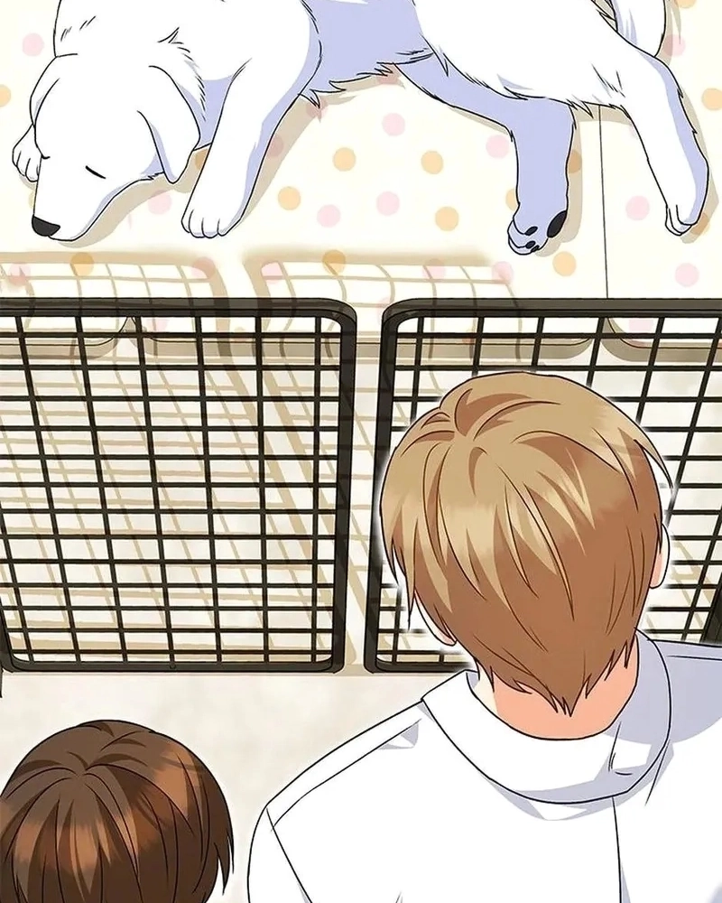 Olá Sr. Veterinário! Capítulo 22 Página 60
