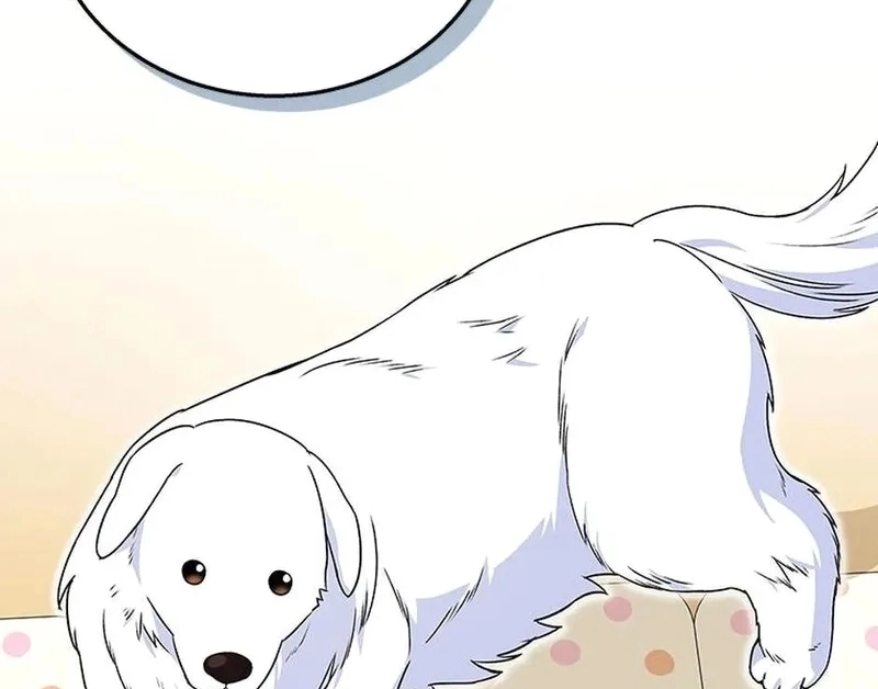 Olá Sr. Veterinário! Capítulo 22 Página 65