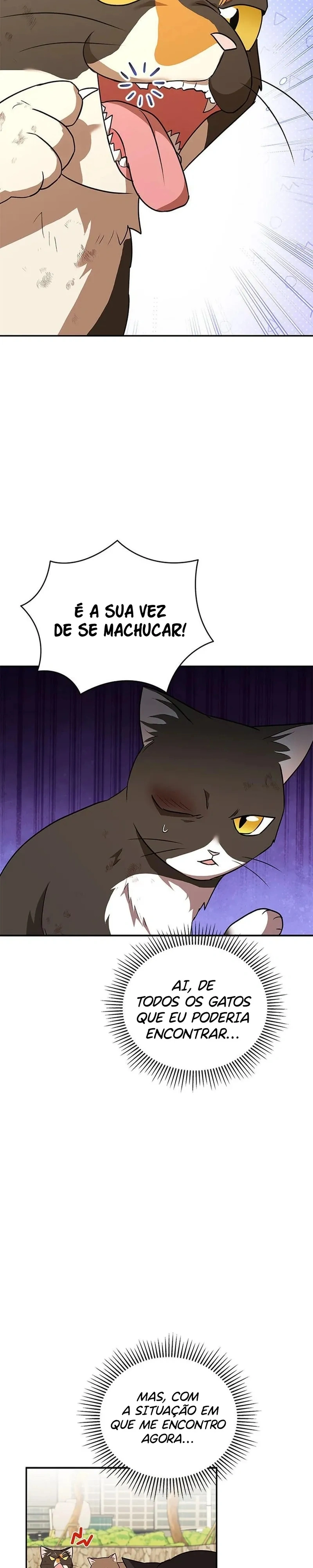 Olá Sr. Veterinário! Capítulo 27 Página 10