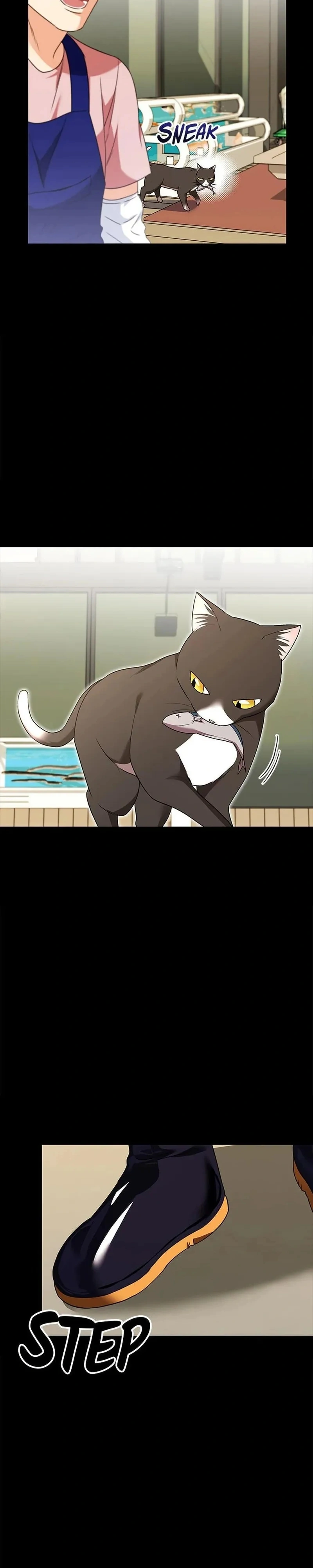 Olá Sr. Veterinário! Capítulo 27 Página 5