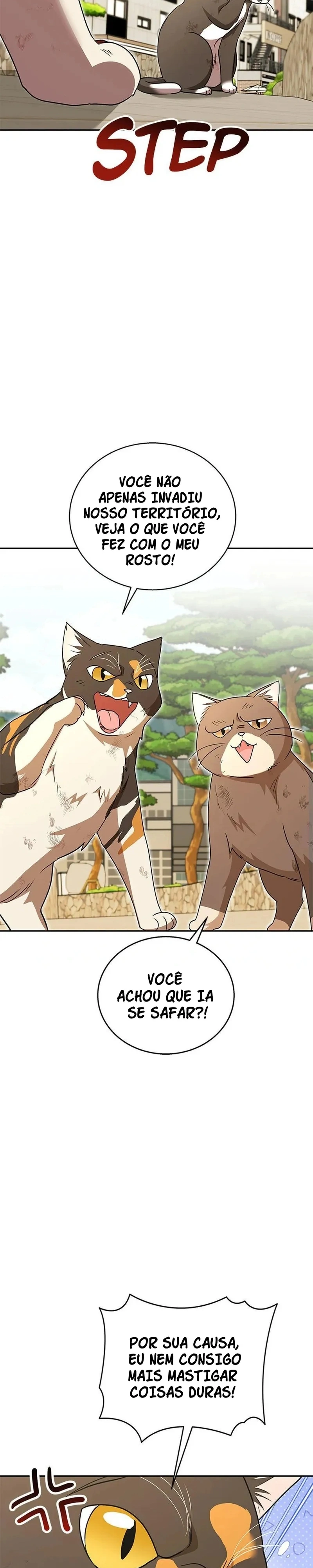 Olá Sr. Veterinário! Capítulo 27 Página 9