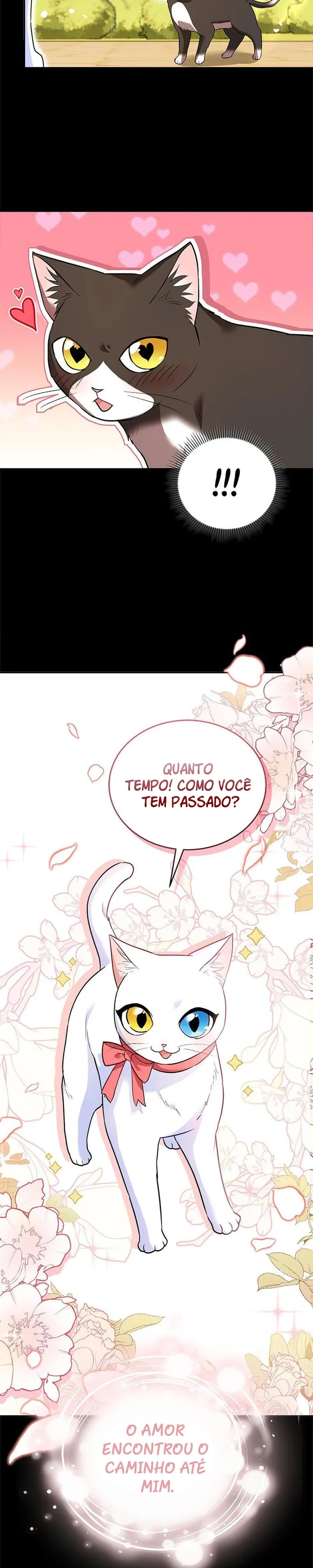 Olá Sr. Veterinário! Capítulo 30 Página 25
