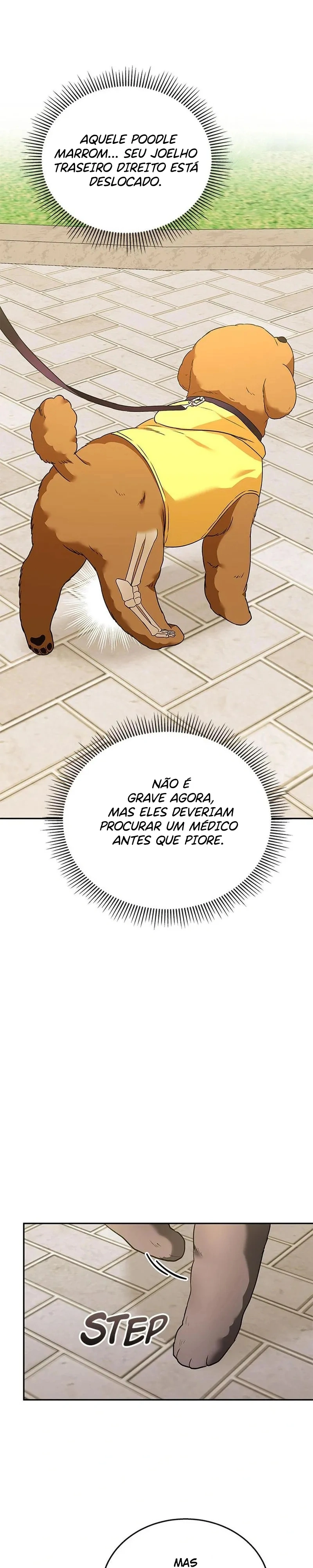 Olá Sr. Veterinário! Capítulo 31 Página 9