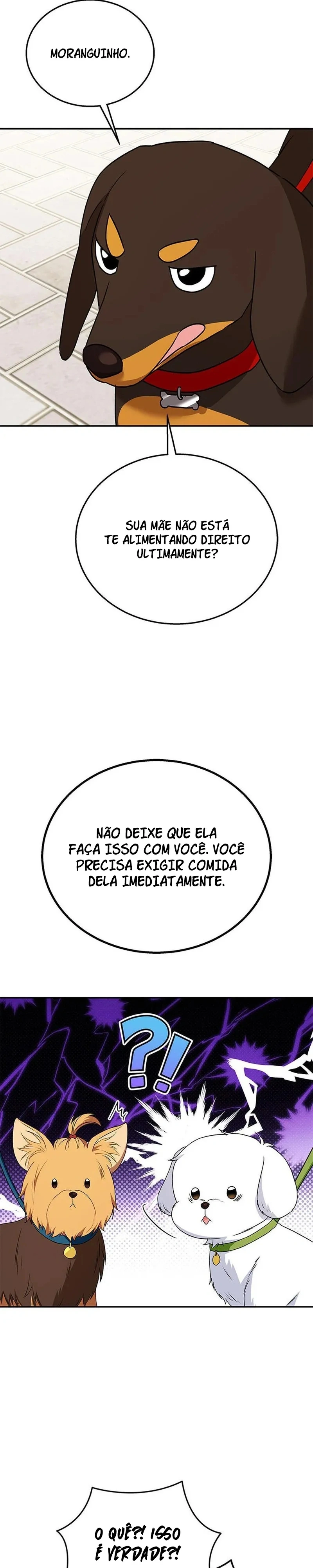 Olá Sr. Veterinário! Capítulo 32 Página 13