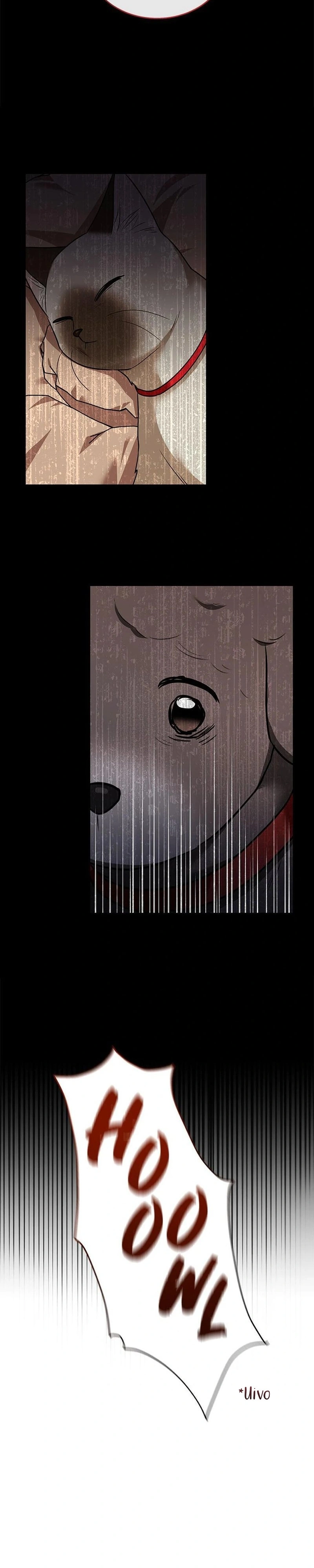 Olá Sr. Veterinário! Capítulo 34 Página 11