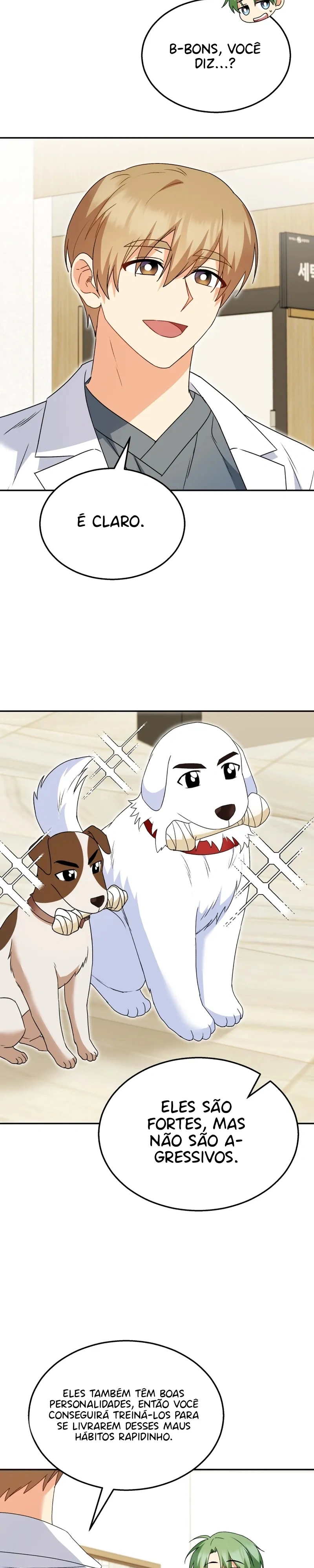 Olá Sr. Veterinário! Capítulo 41 Página 29