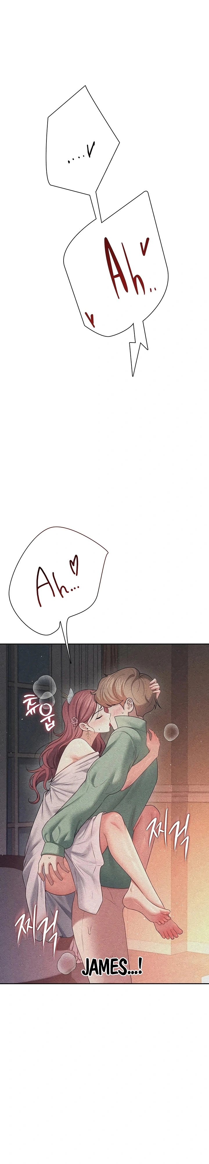 Onahole sem fio Capítulo 90 Página 2
