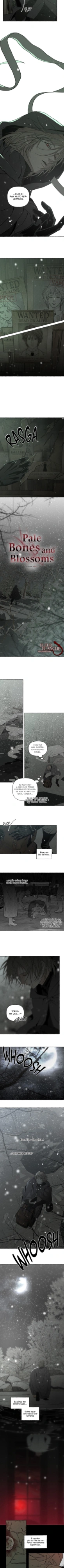 Ossos e Pétalas Capítulo 72 Página 2
