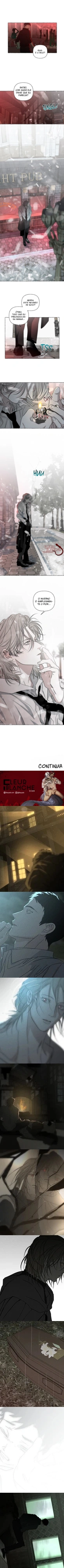 Ossos e Pétalas Capítulo 29 Página 5