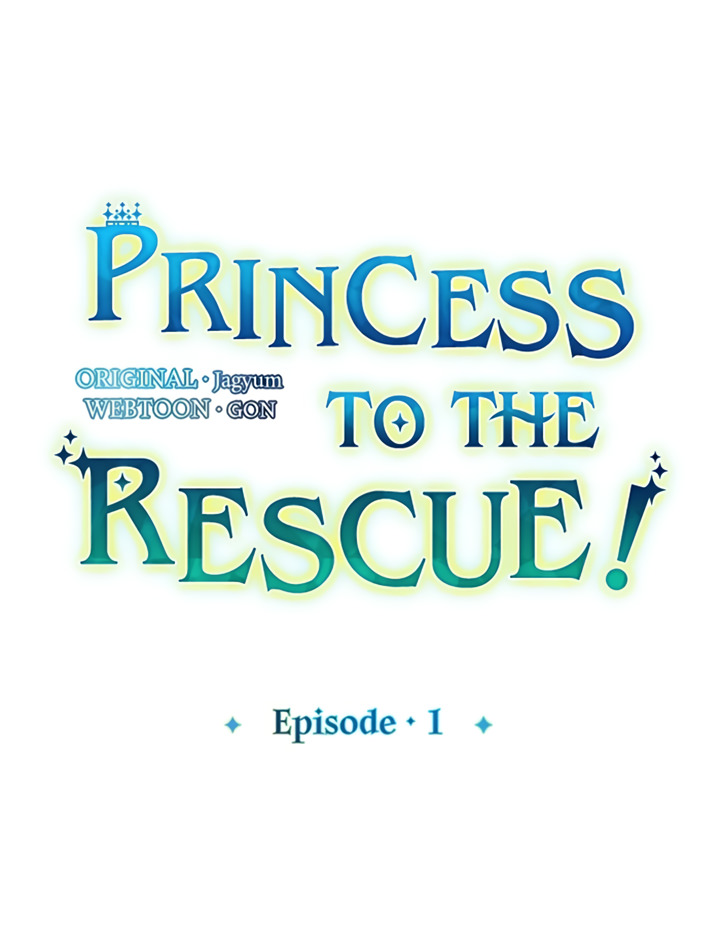 Princess to the Rescue! Capítulo 1 Página 14