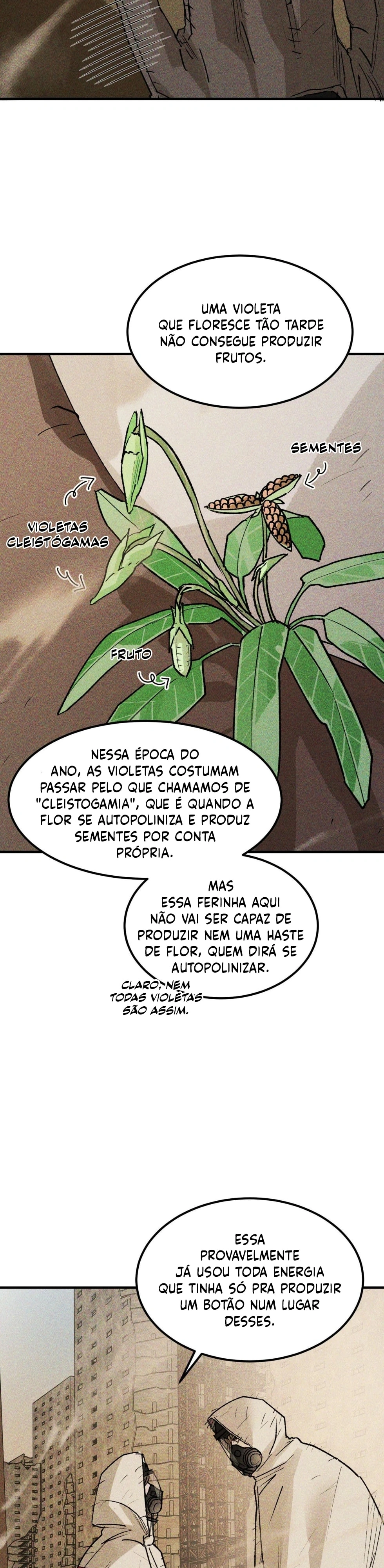 Quando as Violetas Florescem Capítulo 16 Página 12