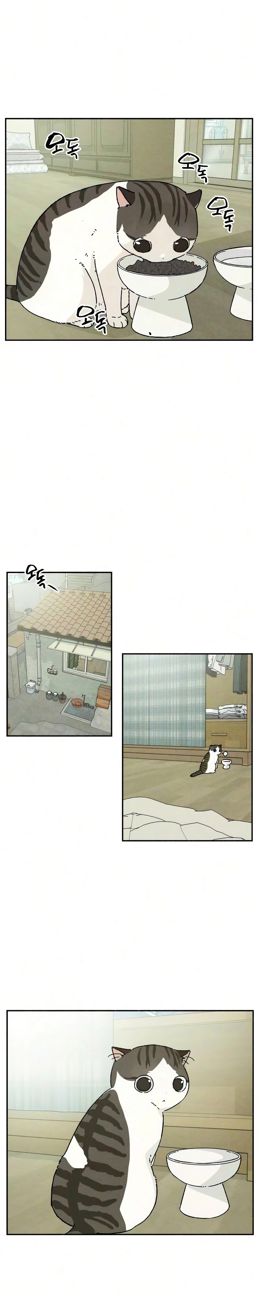 Quero Viver com Você Capítulo 6 Página 8