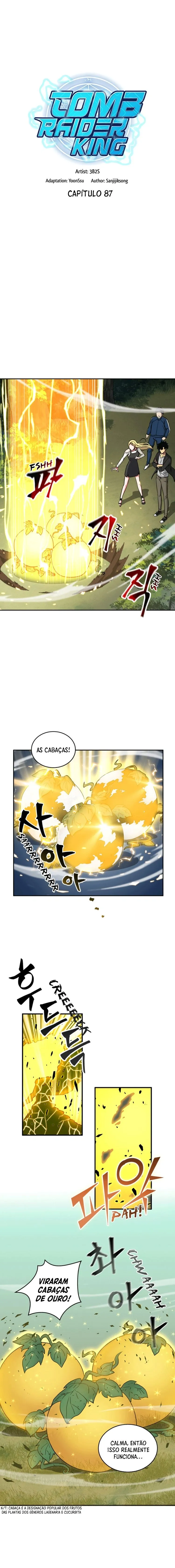 Rei dos Saqueadores de Tumba Capítulo 87 Página 2