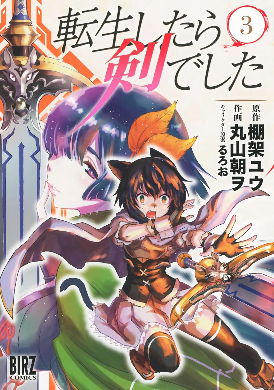 Reincarnated as a Sword: Another Wish Capítulo 12 Página 2