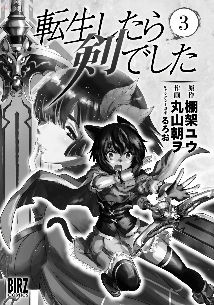 Reincarnated as a Sword: Another Wish Capítulo 12 Página 4
