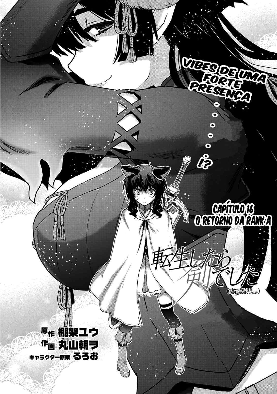 Reincarnated as a Sword: Another Wish Capítulo 16 Página 3