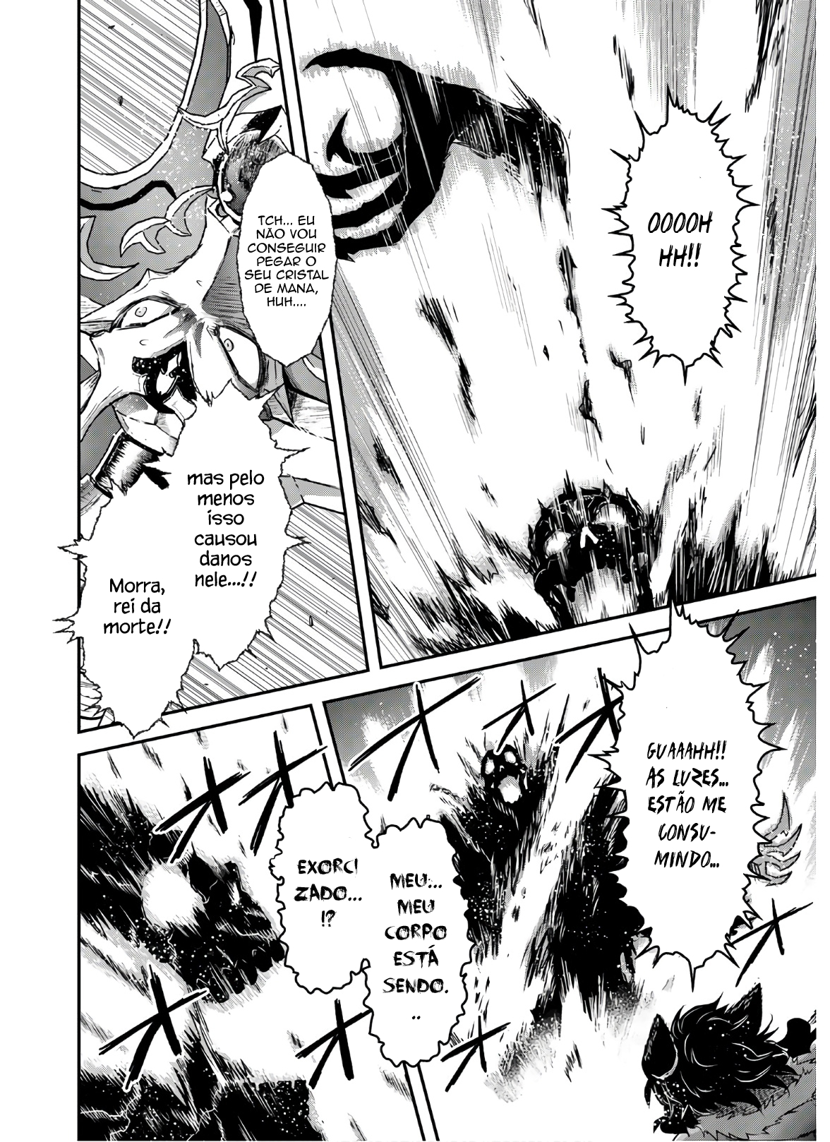 Reincarnated as a Sword: Another Wish Capítulo 38 Página 12
