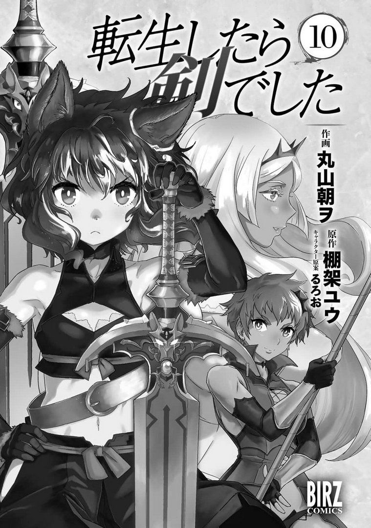 Reincarnated as a Sword: Another Wish Capítulo 46 Página 3