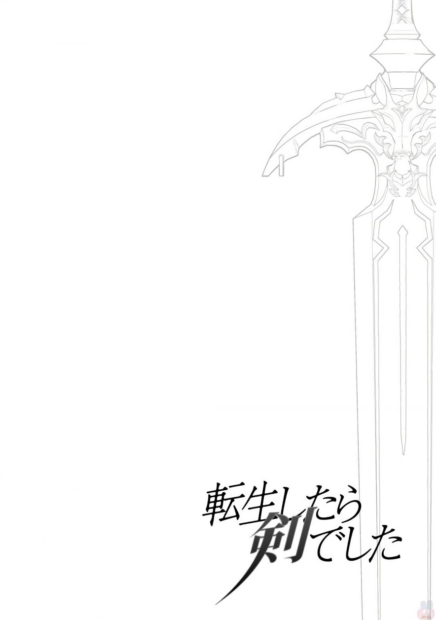 Reincarnated as a Sword: Another Wish Capítulo 13 Página 25