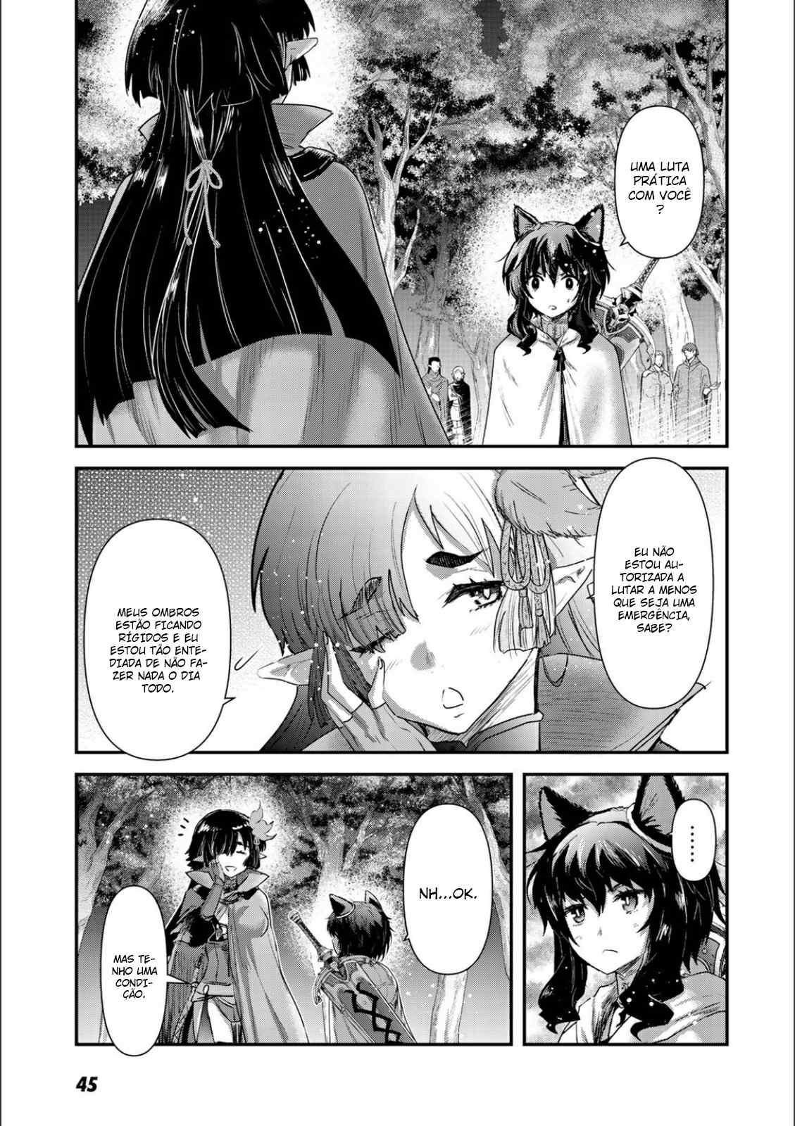 Reincarnated as a Sword: Another Wish Capítulo 18 Página 14