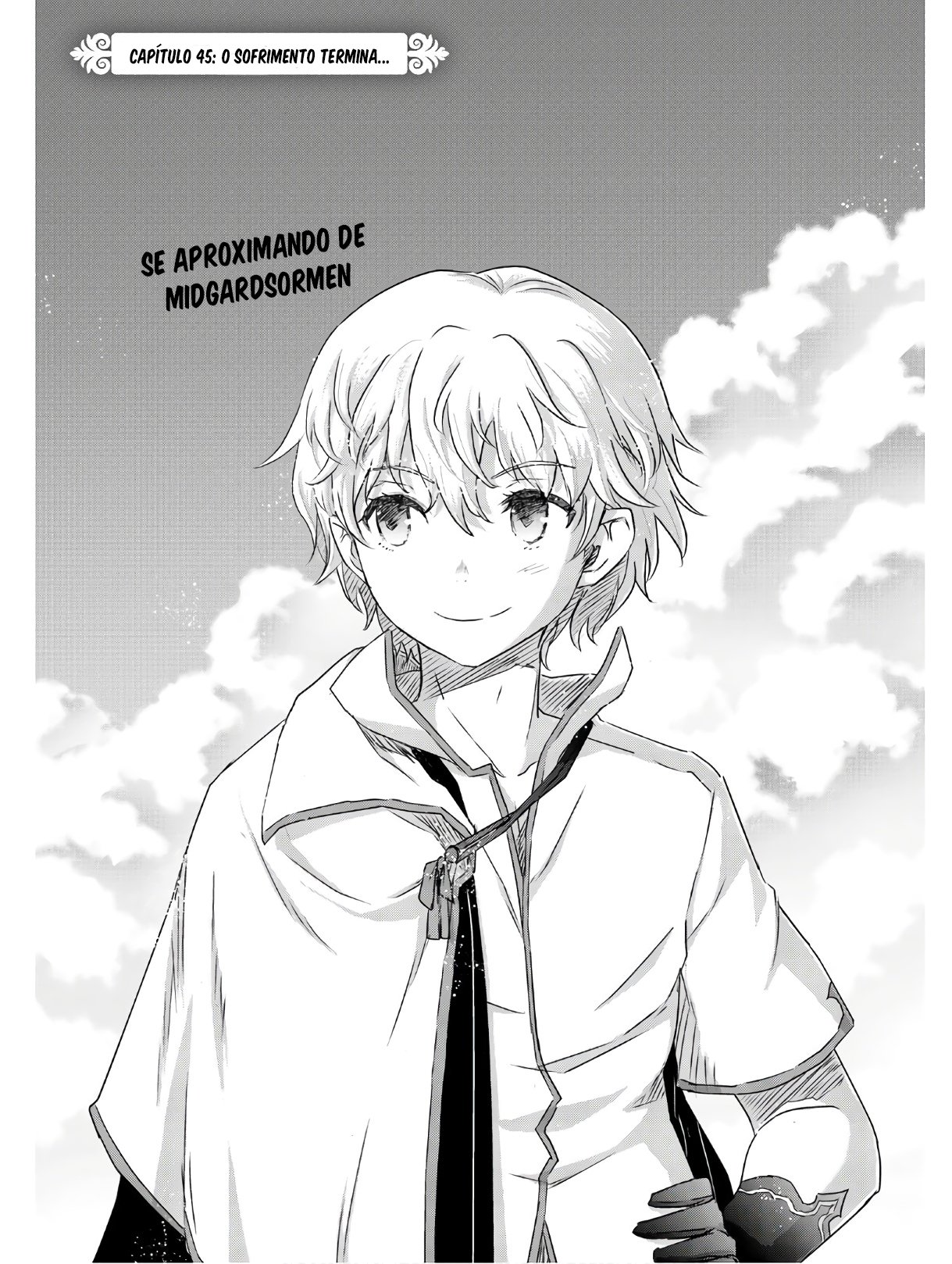 Reincarnated as a Sword: Another Wish Capítulo 45 Página 2