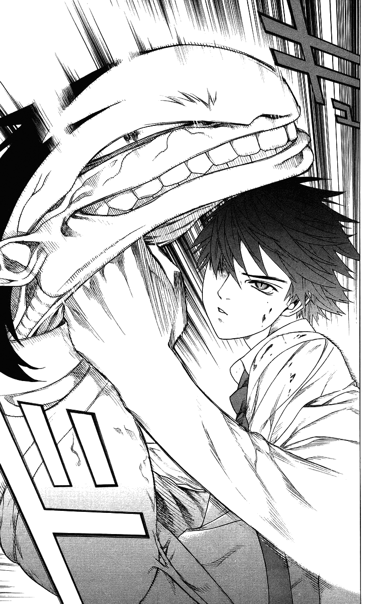Rosario+Vampire Capítulo 29 Página 42