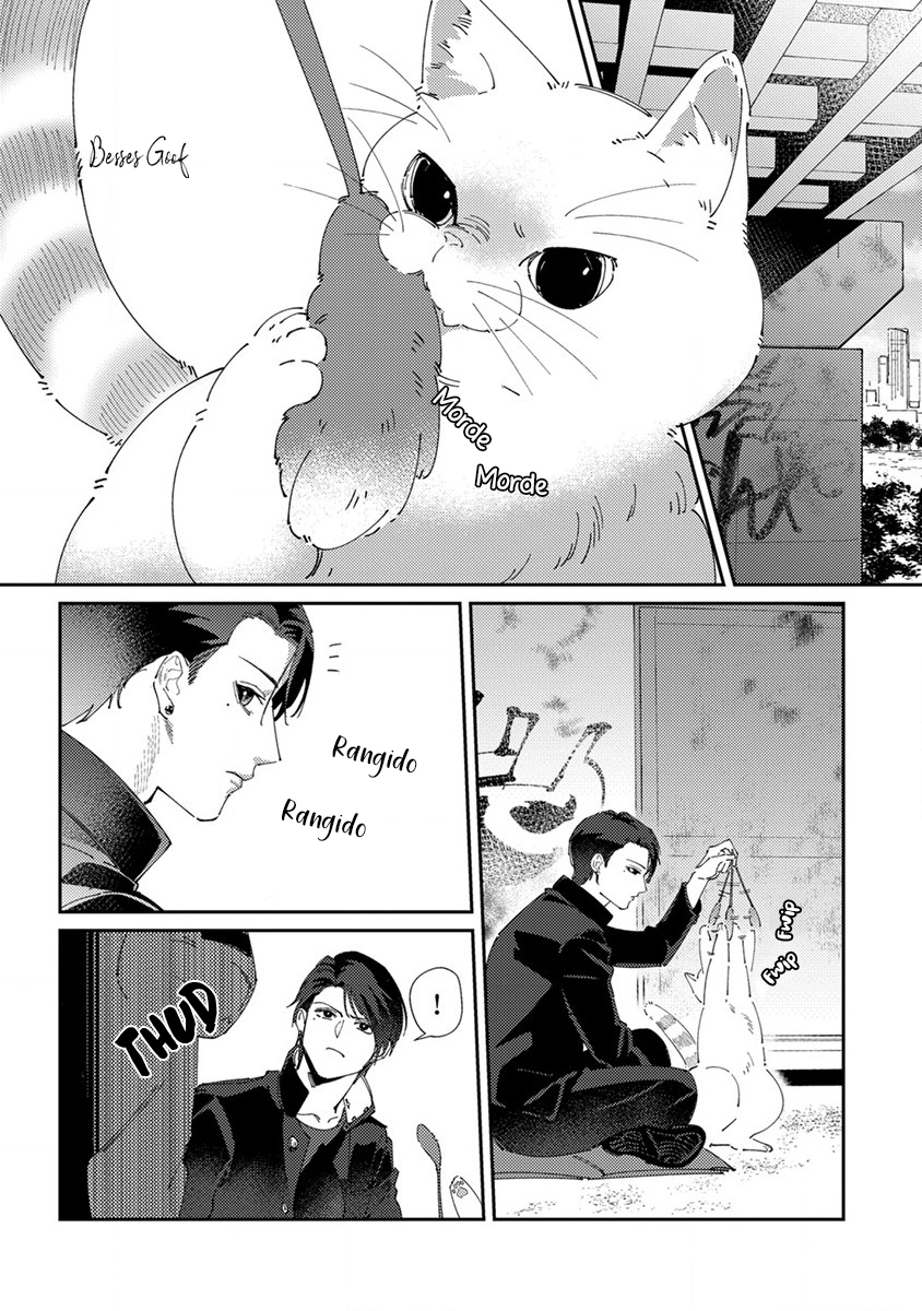 Shima-chan chi no Tsugai Jijou Capítulo 3 Página 7