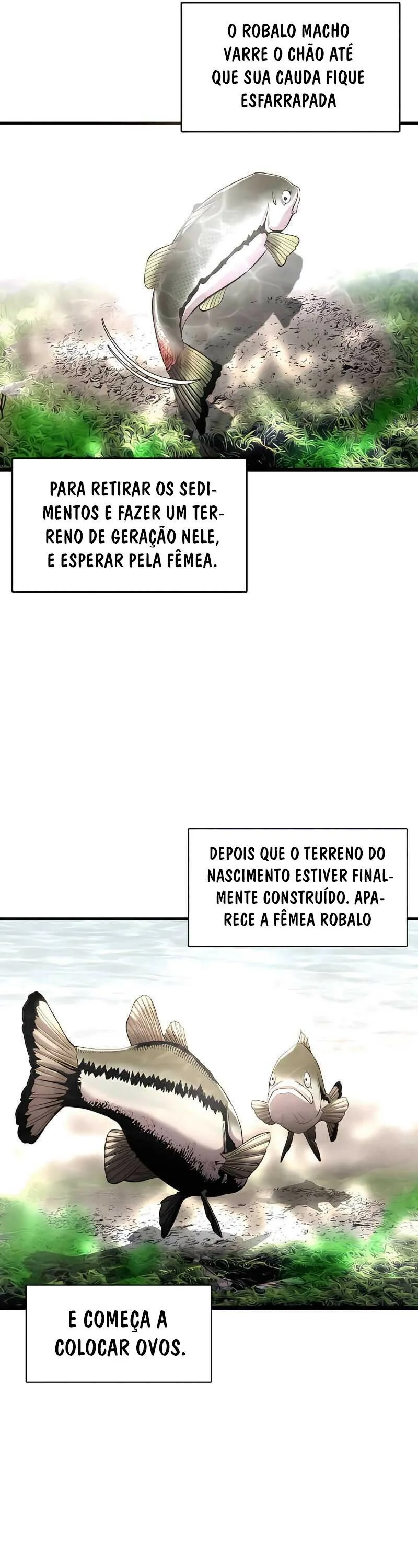 Sobras de um Peixe Capítulo 3 Página 13