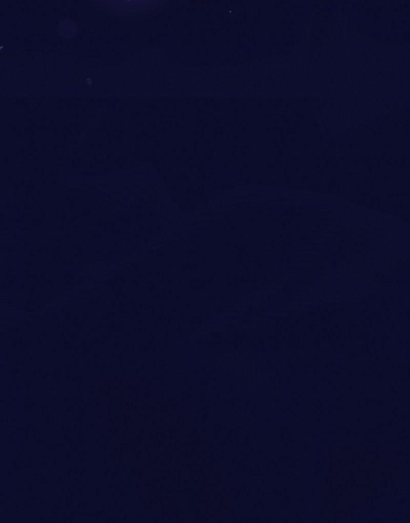 Tente Implorar Capítulo 11 Página 29