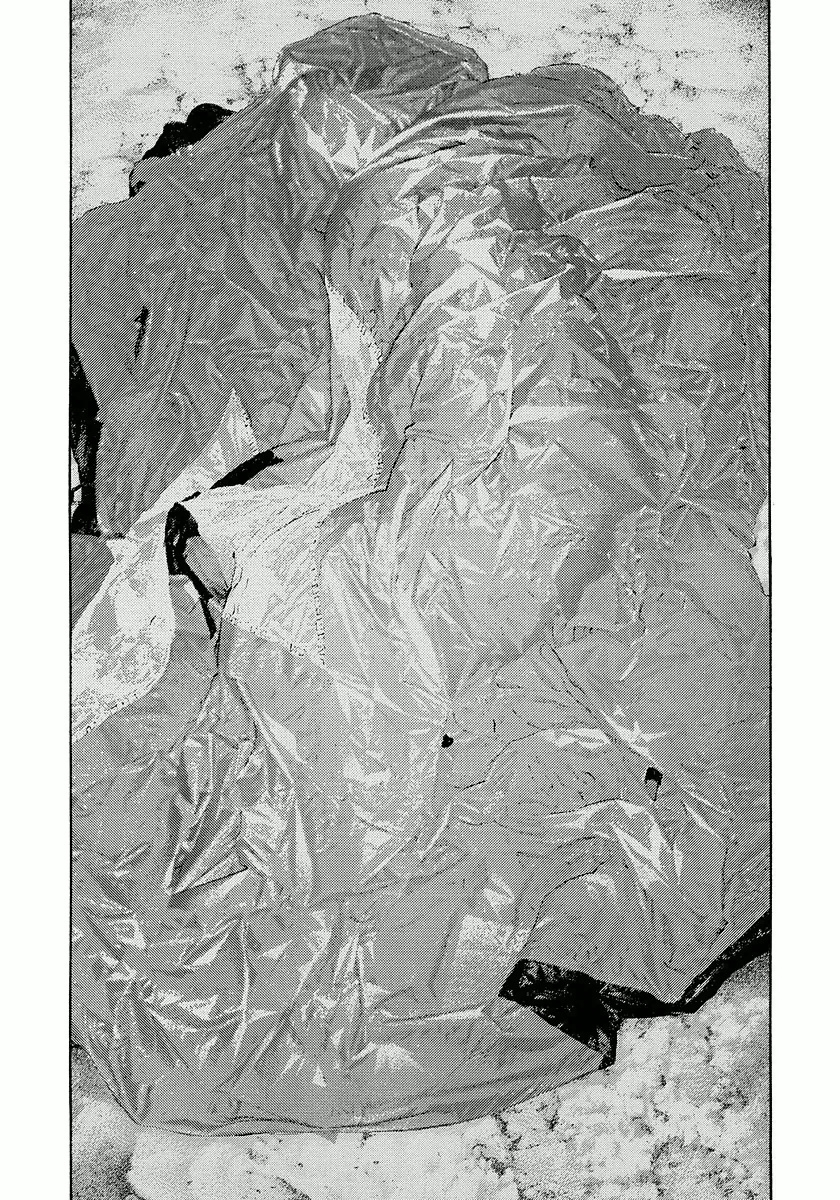 The Climber Capítulo 153 Página 24