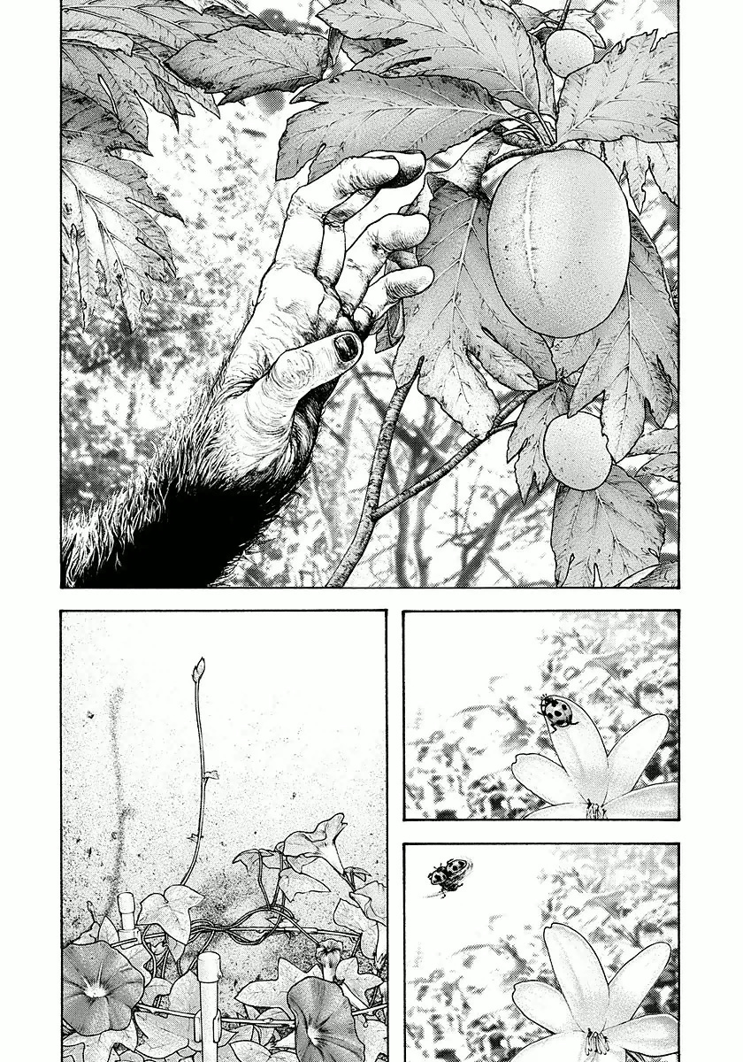 The Climber Capítulo 168 Página 19