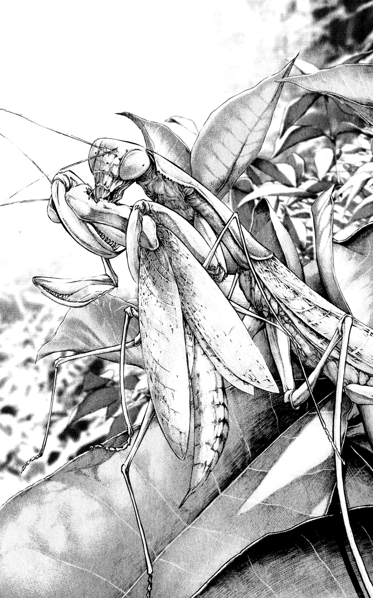 The Climber Capítulo 51 Página 5