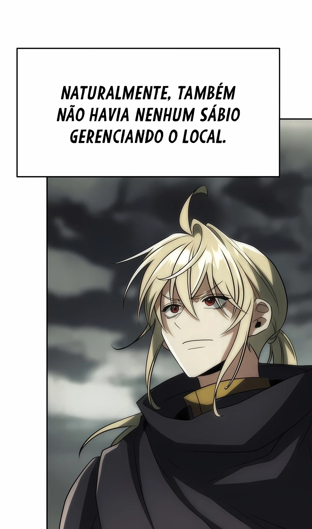 The Great Wizard Transcendent Capítulo 208 Página 25