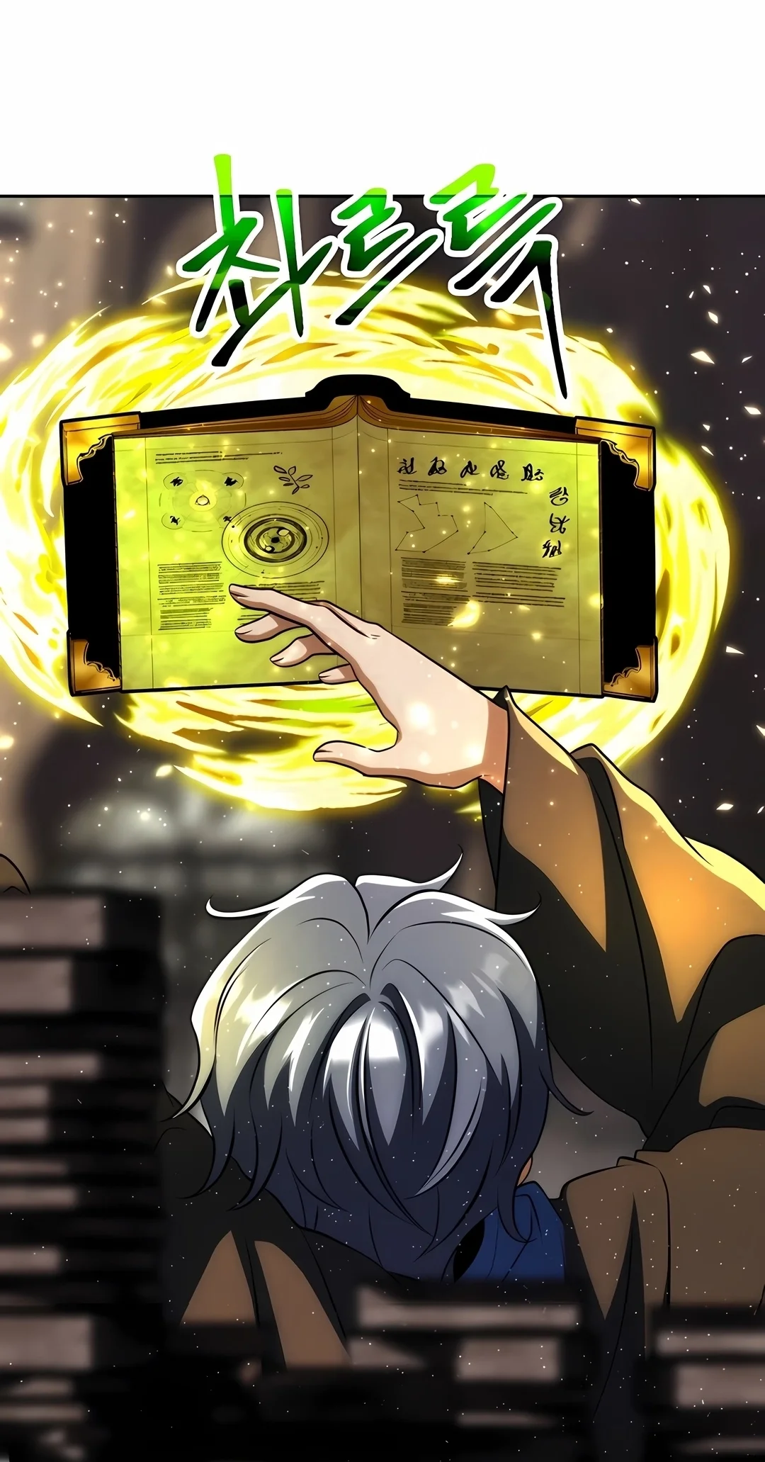 The Great Wizard Transcendent Capítulo 209 Página 28