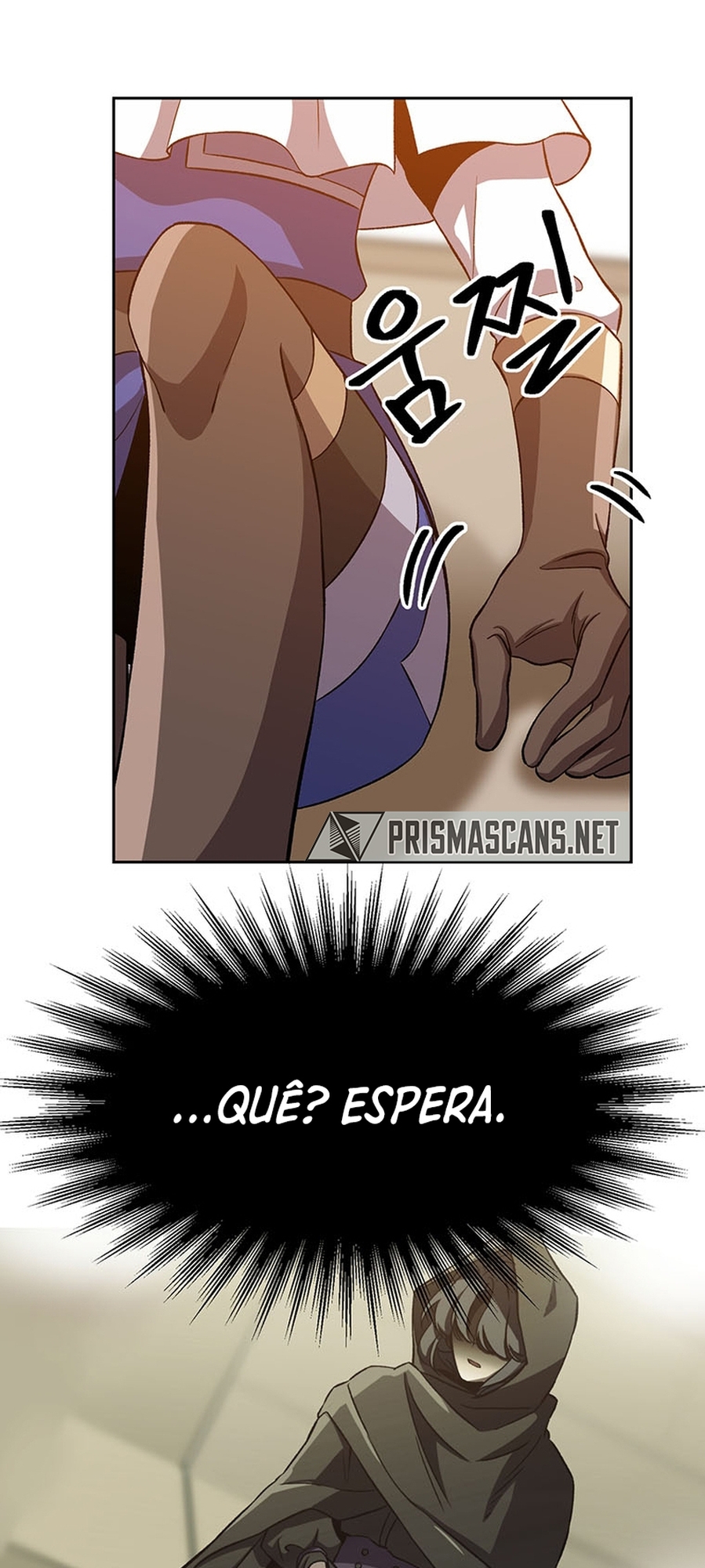 The Great Wizard Transcendent Capítulo 29 Página 15