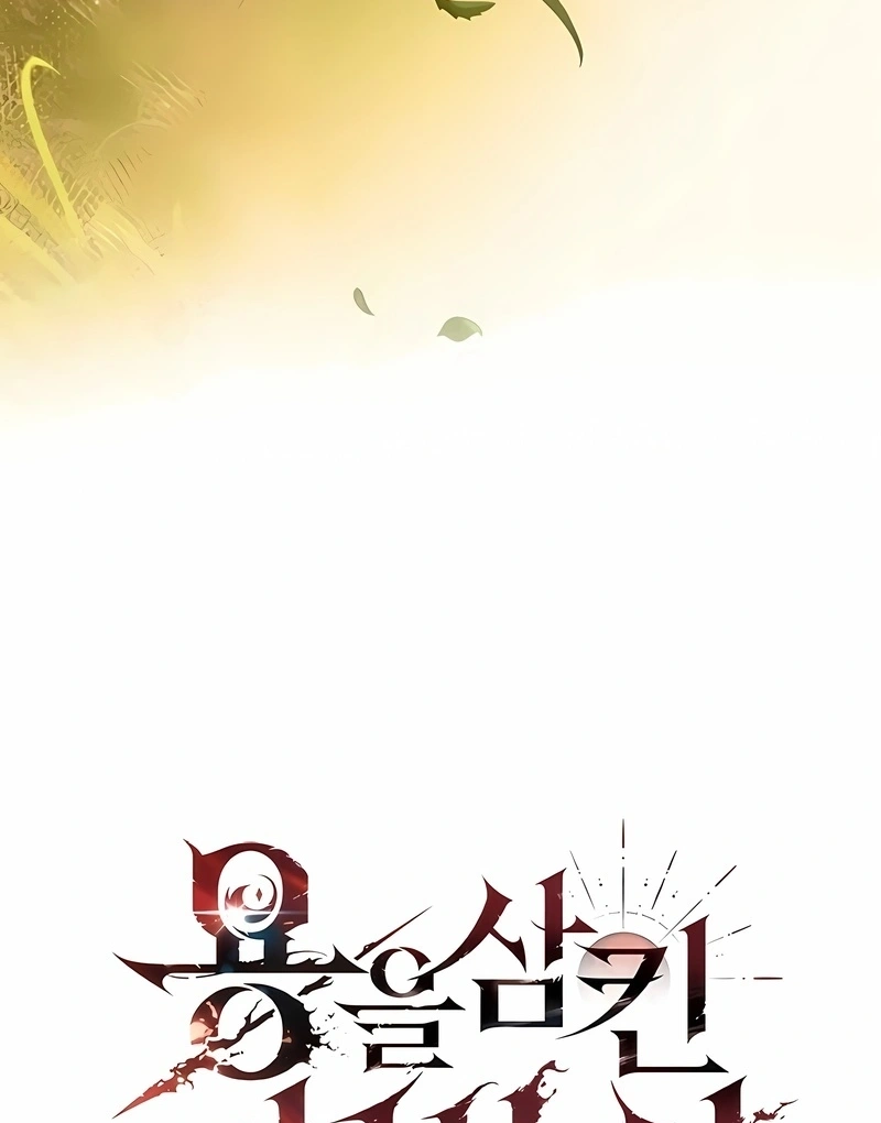 The Mage: Swallowed the Dragon Capítulo 48 Página 44