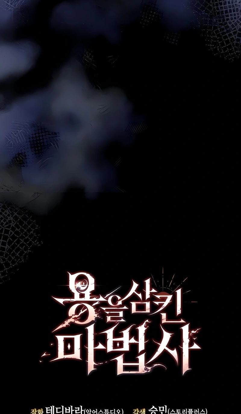 The Mage: Swallowed the Dragon Capítulo 94 Página 119