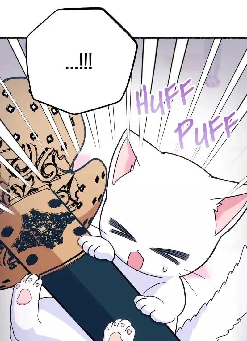 The Possesive Tyrant and His Sleepy Cat Capítulo 12 Página 95