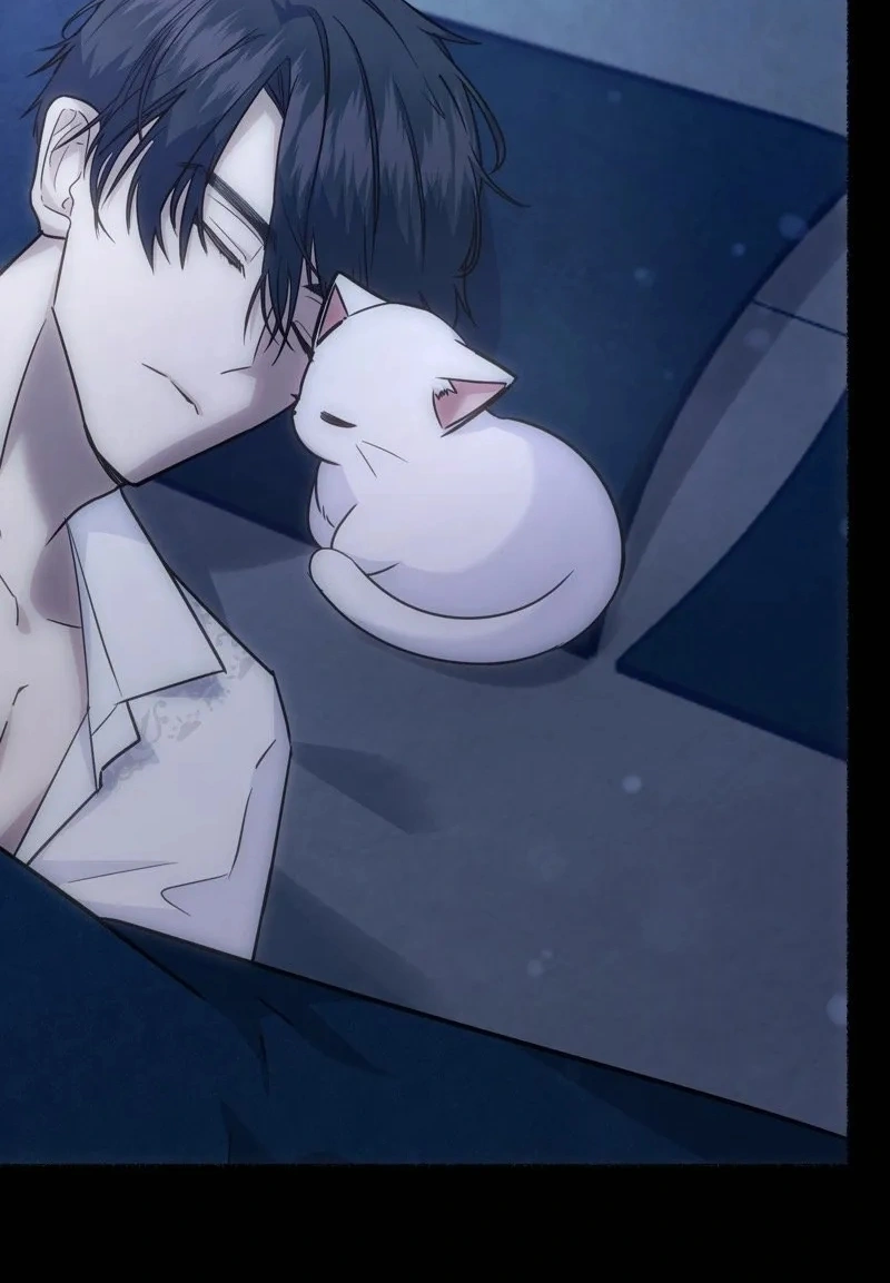 The Possesive Tyrant and His Sleepy Cat Capítulo 4 Página 35