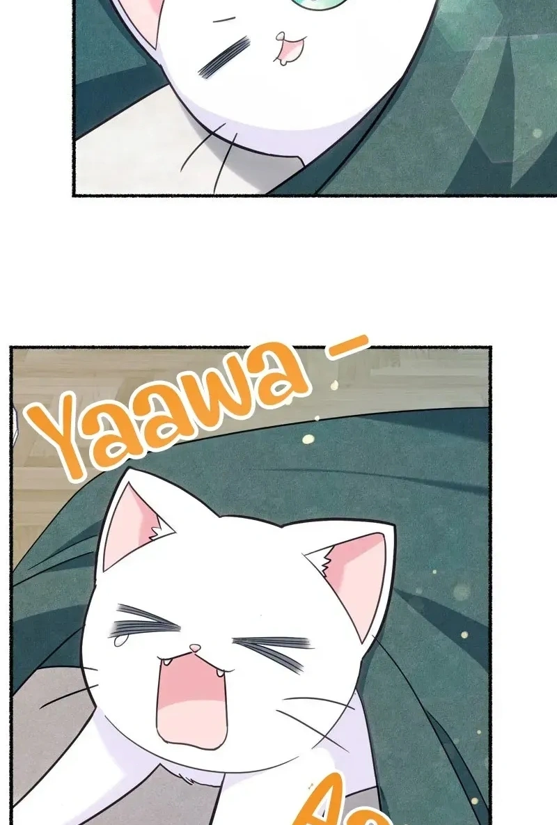 The Possesive Tyrant and His Sleepy Cat Capítulo 5 Página 35