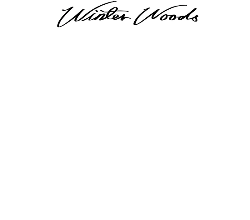Winter Woods Capítulo 11 Página 26